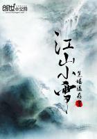 江山又小雪txt
