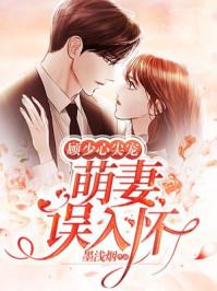 顾少心尖妻全文免费