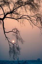 淡如兰是什么意思