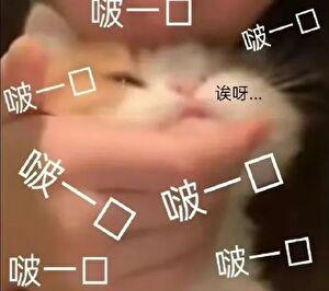 图南股份盘中涨幅达5%