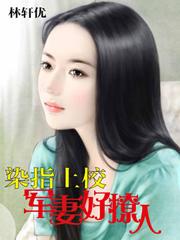 染指军婚