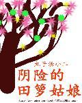 田姑娘的故事