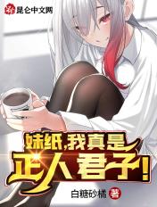 我真是正人君子什么意思