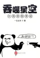 吞噬星空开局签到帝经 一包薯条