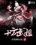十方武圣真界真相是什么