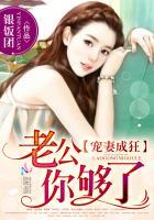 宠妻成狂