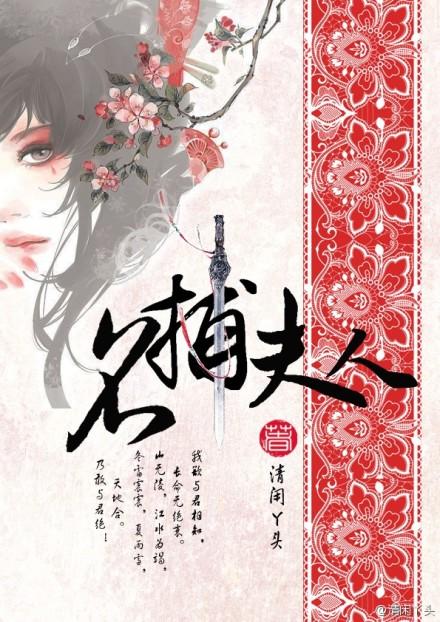 名捕夫人by清闲丫头讲的什么