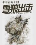 听书雪狼出击