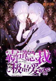 霸道总裁极品爱内容是什么