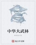 中华武林百杰1995