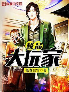 极品大玩家 第1章