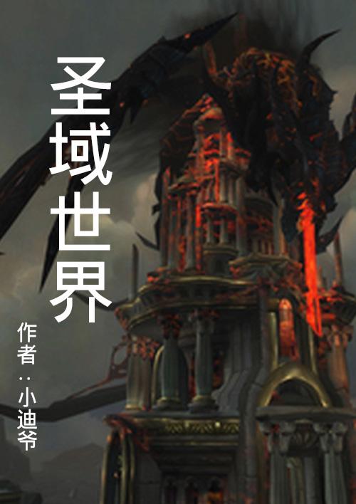 圣域端游