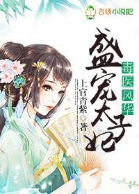 毒医风华,盛宠太子妃